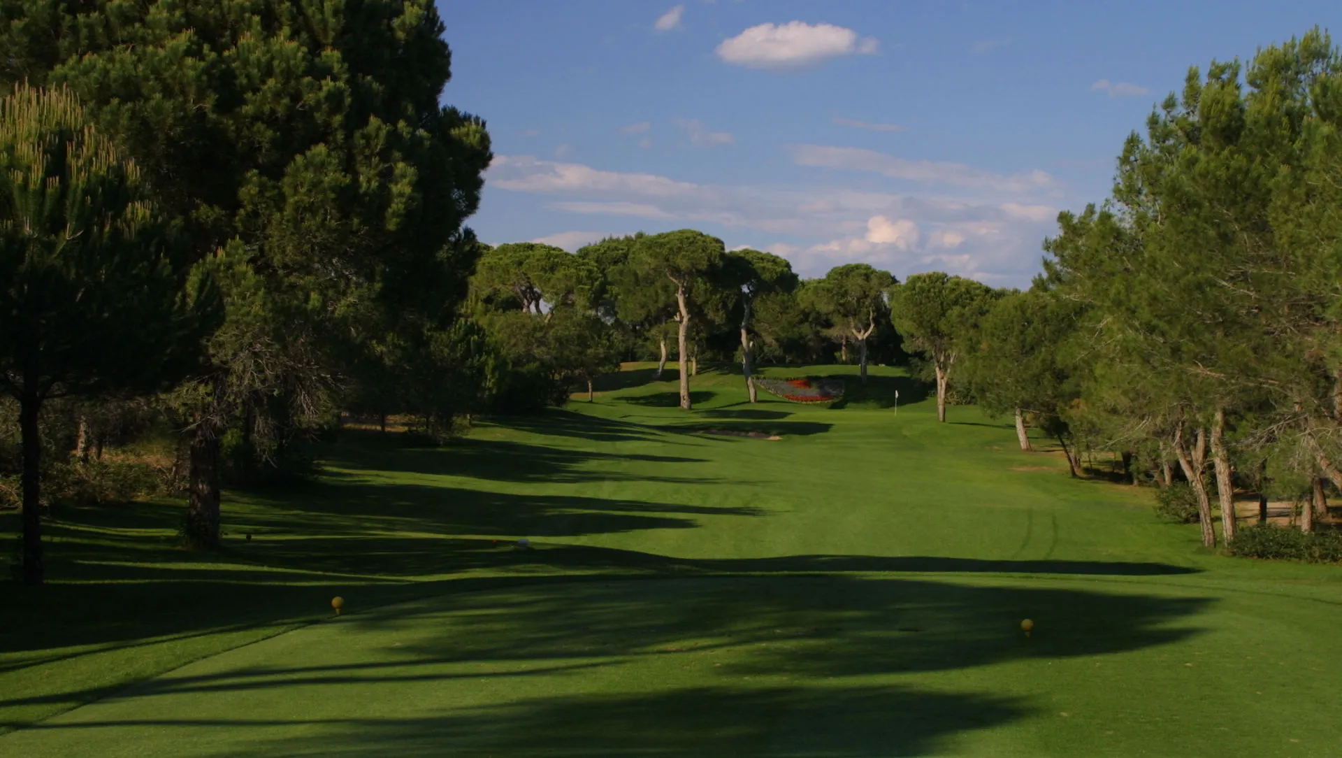 Von Pinien gesäumtes Fairway