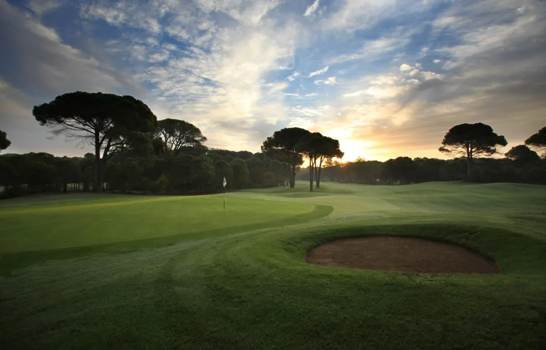 Fairway mit Bunker zwischen Pinien